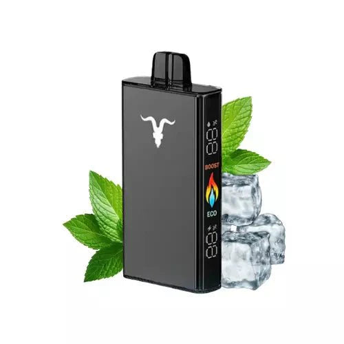 Ignite v250 25.000 Puffs