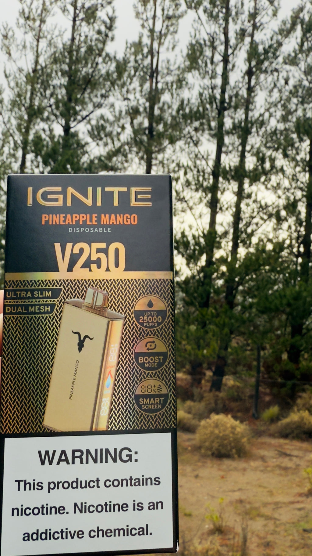Ignite v250 25.000 Puffs