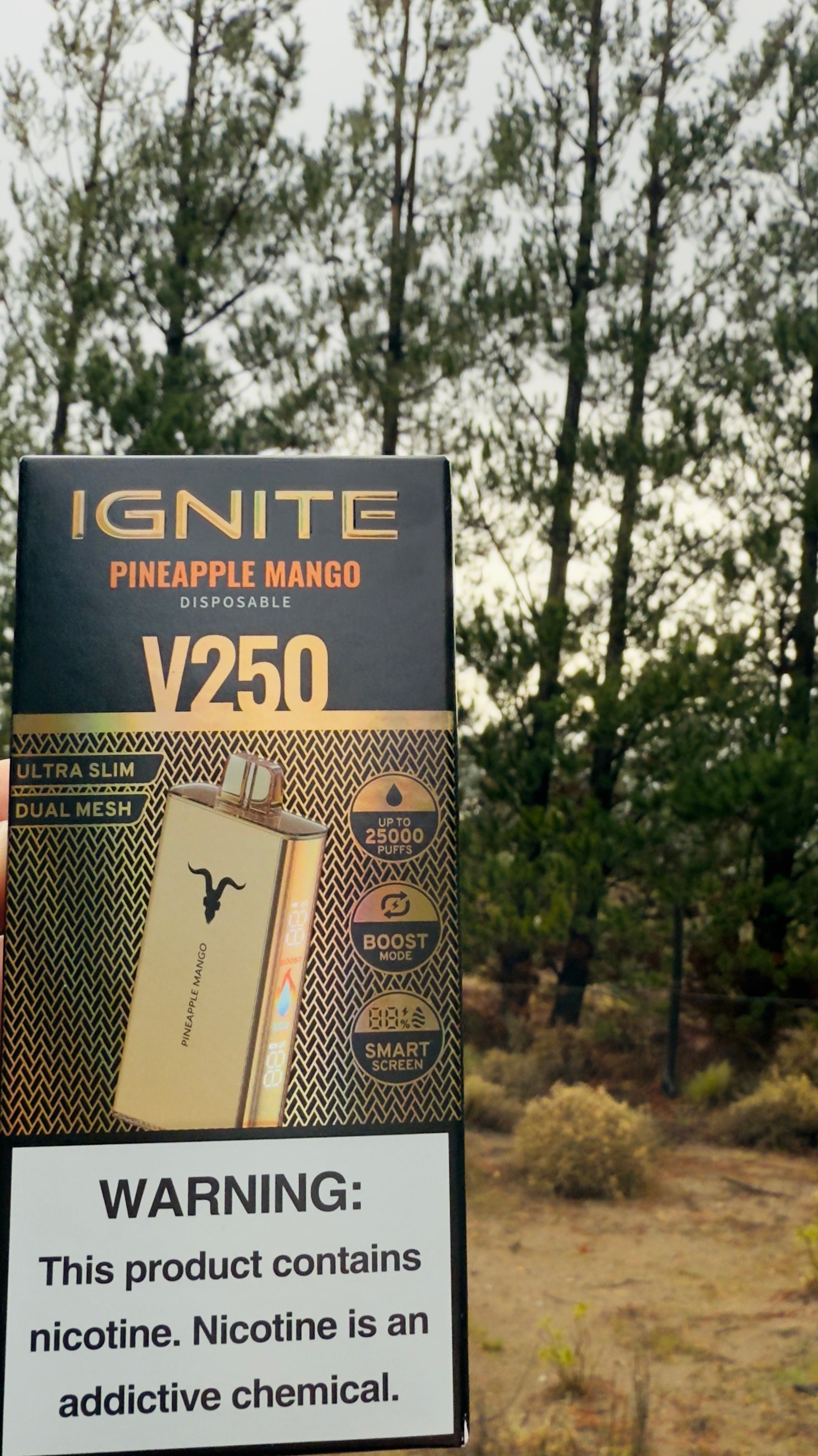 Ignite v250 25.000 Puffs