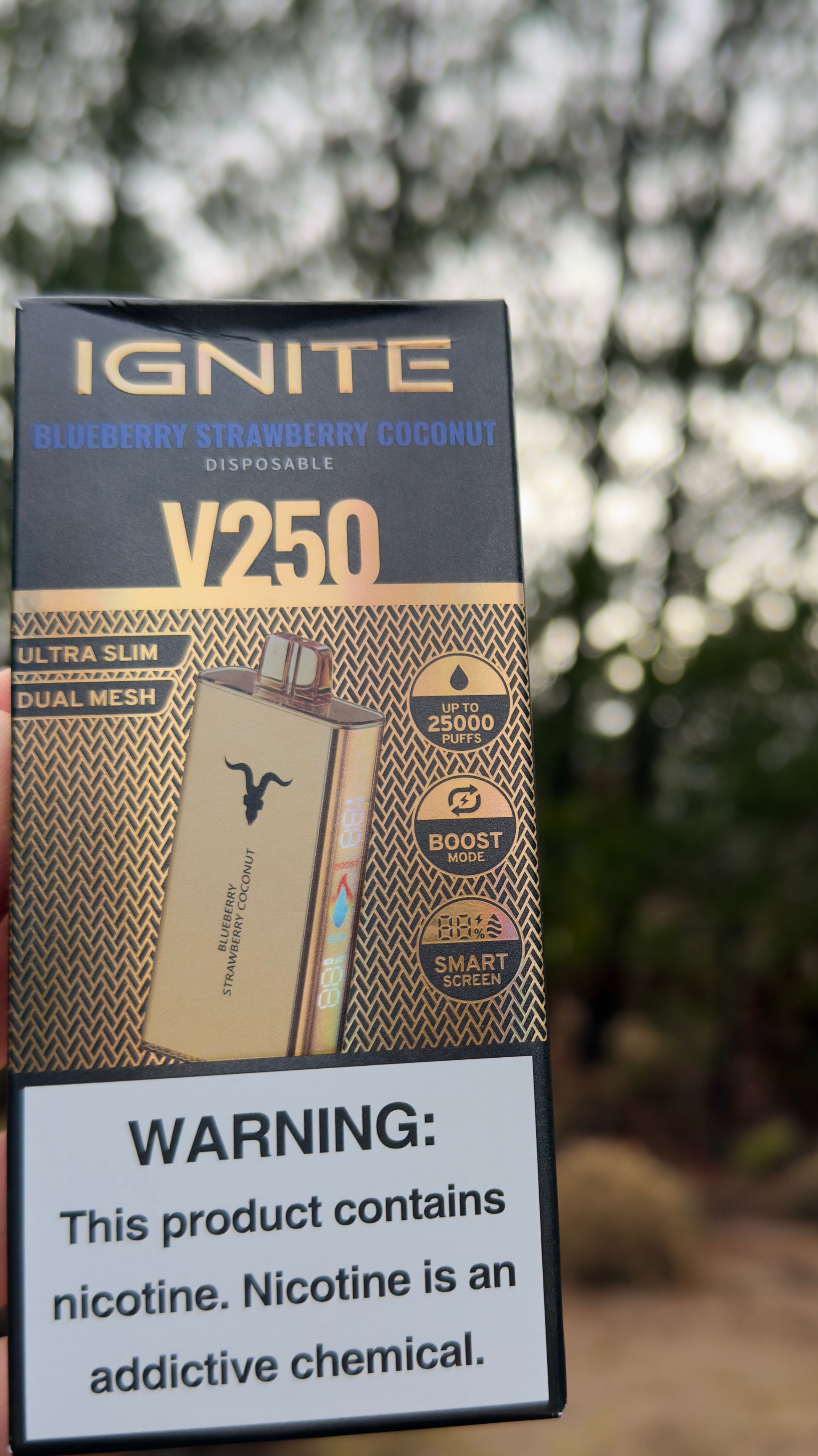Ignite v250 25.000 Puffs