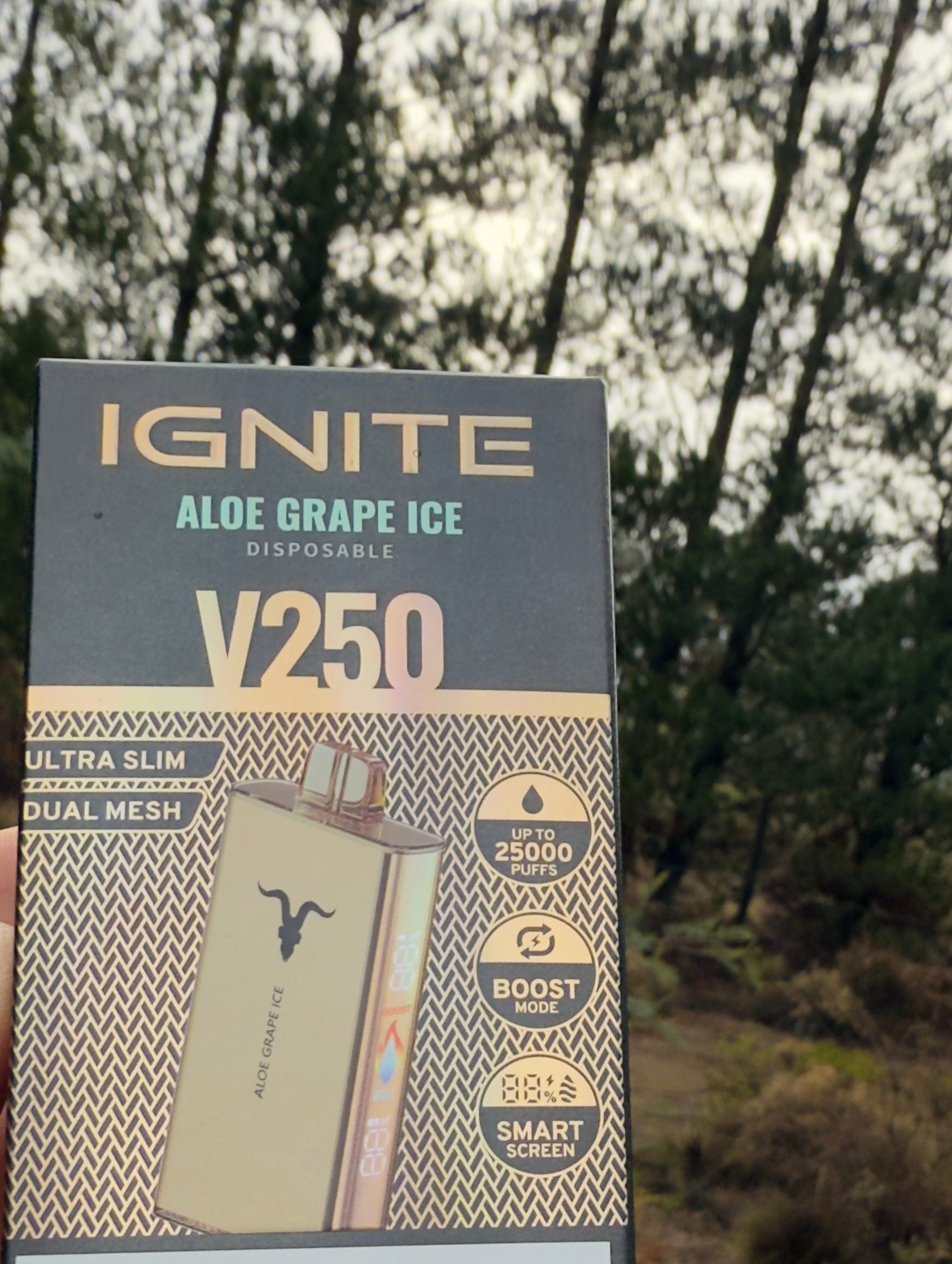 Ignite v250 25.000 Puffs