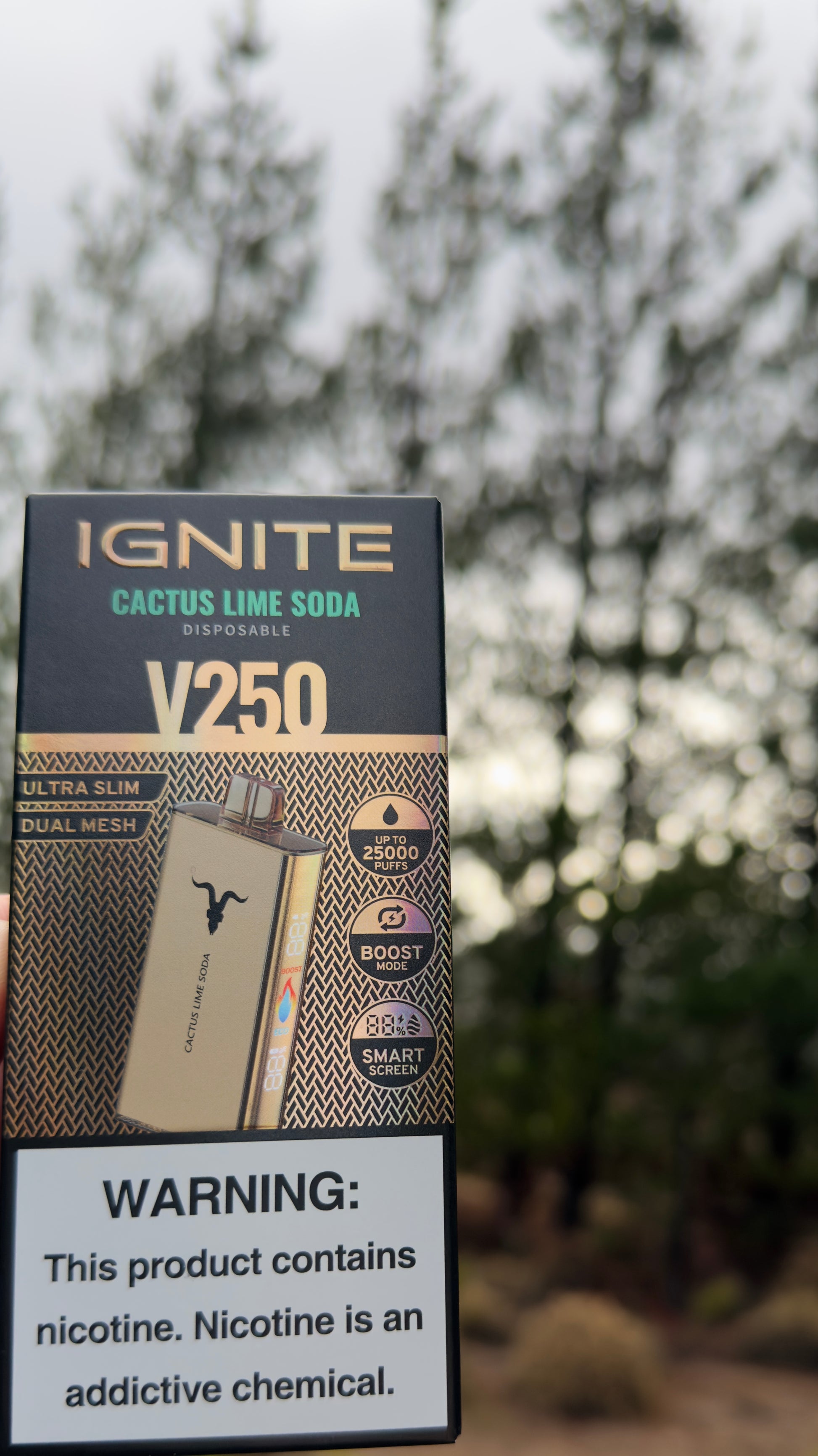 Ignite v250 25.000 Puffs