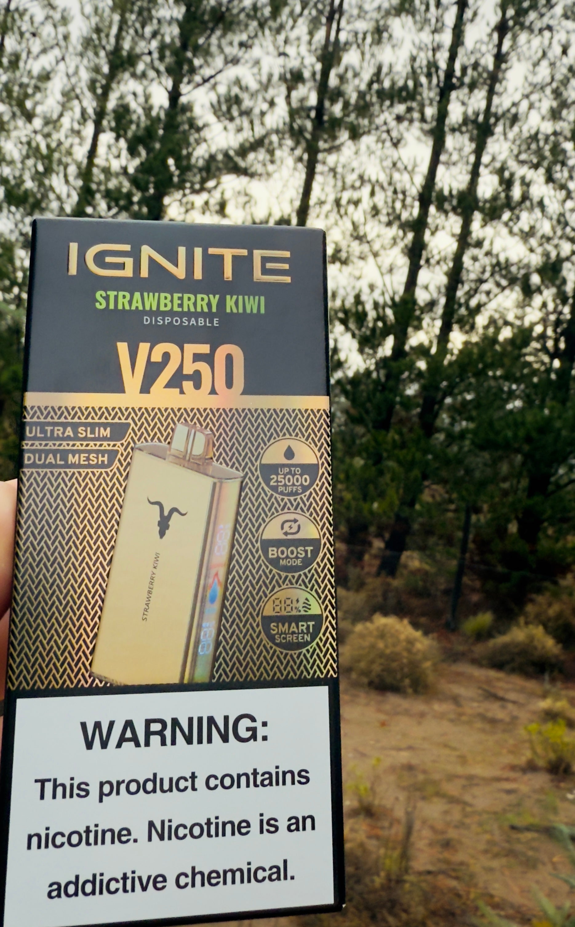 Ignite v250 25.000 Puffs