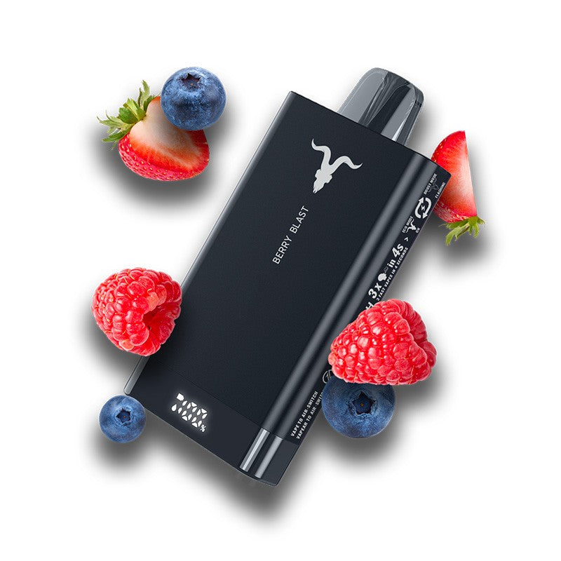 Ignite v250 25.000 Puffs