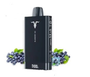 Ignite v150 15.000 Puffs
