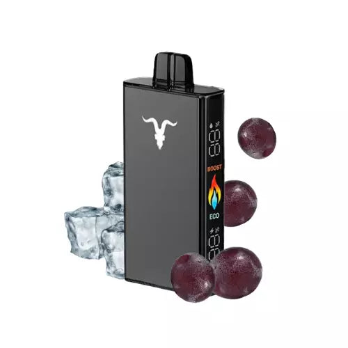Ignite v250 25.000 Puffs