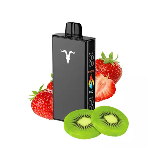 Ignite v250 25.000 Puffs