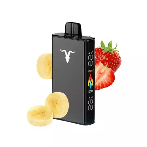 Ignite v250 25.000 Puffs