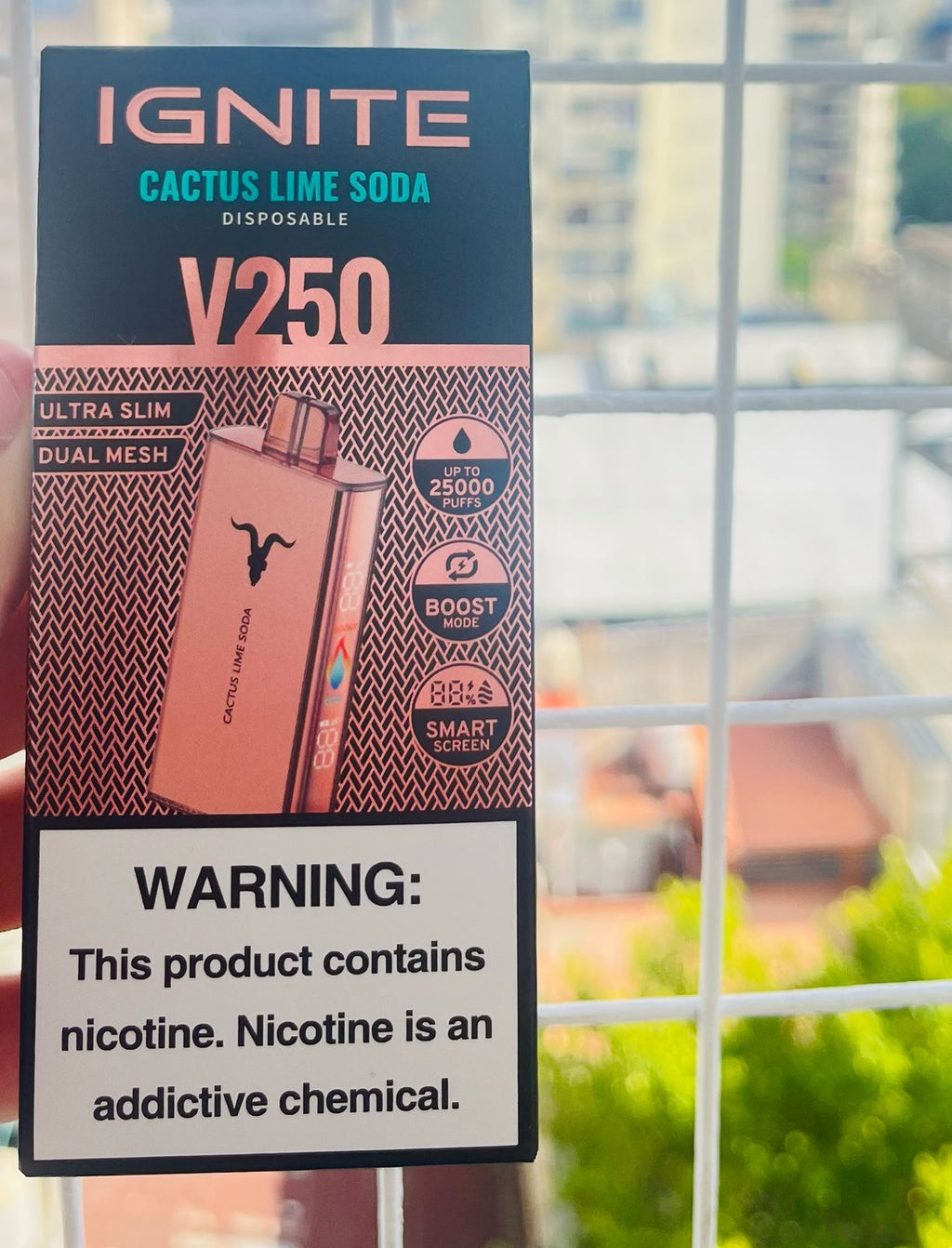 Ignite v250 25.000 Puffs